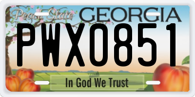 GA license plate PWX0851