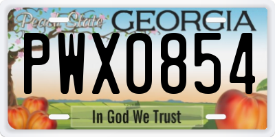 GA license plate PWX0854
