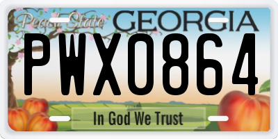 GA license plate PWX0864