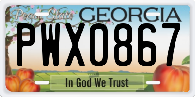 GA license plate PWX0867