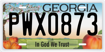 GA license plate PWX0873