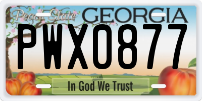 GA license plate PWX0877