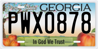 GA license plate PWX0878