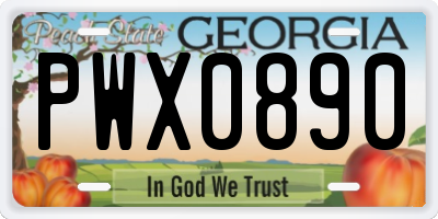 GA license plate PWX0890