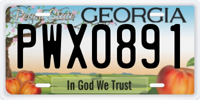 GA license plate PWX0891