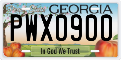 GA license plate PWX0900