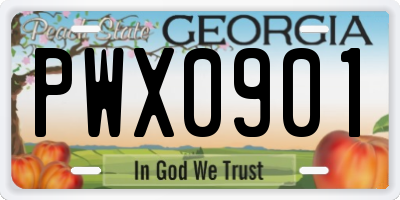 GA license plate PWX0901
