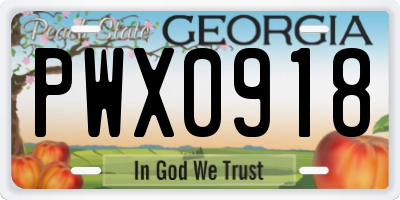 GA license plate PWX0918
