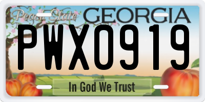 GA license plate PWX0919