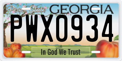 GA license plate PWX0934