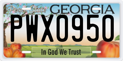 GA license plate PWX0950