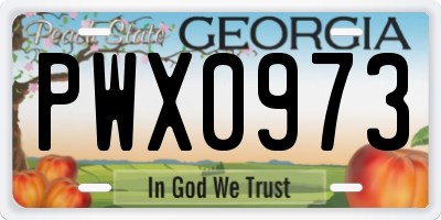 GA license plate PWX0973