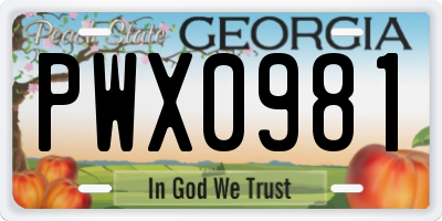 GA license plate PWX0981