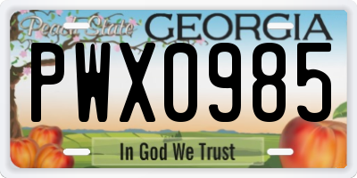 GA license plate PWX0985