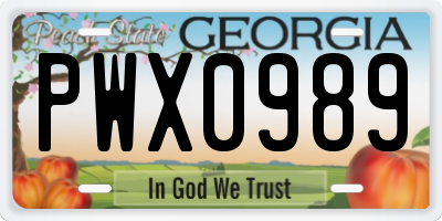 GA license plate PWX0989