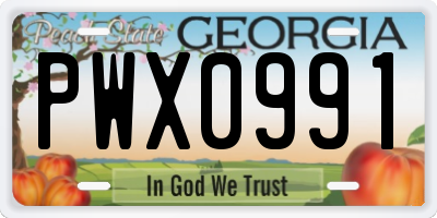 GA license plate PWX0991