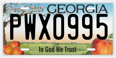 GA license plate PWX0995