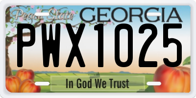 GA license plate PWX1025