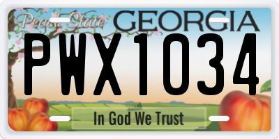 GA license plate PWX1034