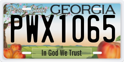 GA license plate PWX1065