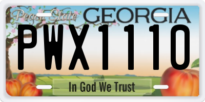 GA license plate PWX1110