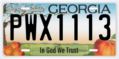GA license plate PWX1113