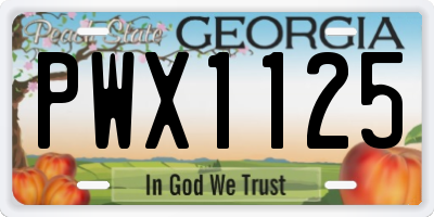 GA license plate PWX1125