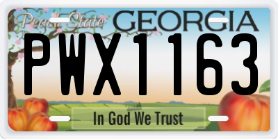 GA license plate PWX1163