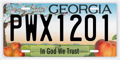 GA license plate PWX1201