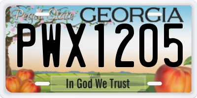 GA license plate PWX1205