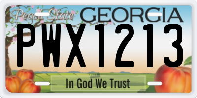 GA license plate PWX1213