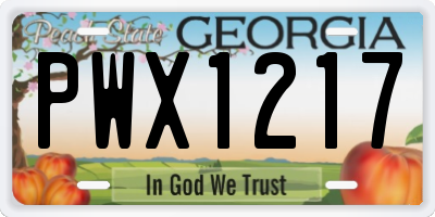 GA license plate PWX1217