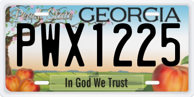GA license plate PWX1225