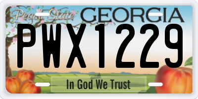 GA license plate PWX1229