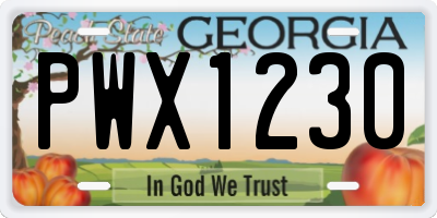 GA license plate PWX1230