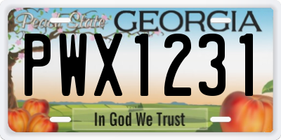 GA license plate PWX1231