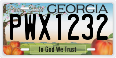 GA license plate PWX1232