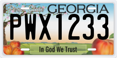 GA license plate PWX1233