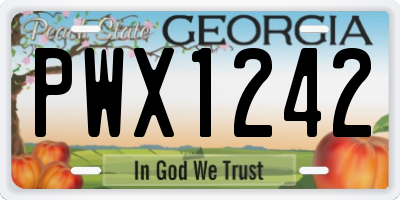 GA license plate PWX1242