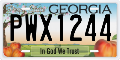 GA license plate PWX1244