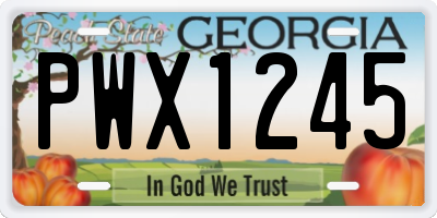 GA license plate PWX1245