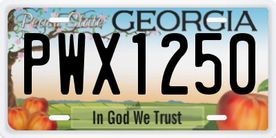 GA license plate PWX1250