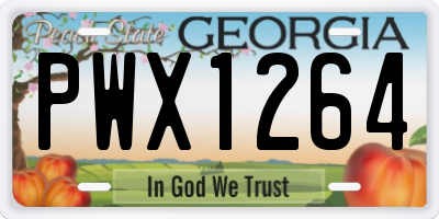 GA license plate PWX1264