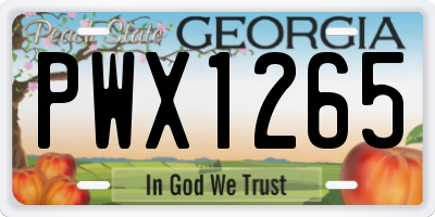 GA license plate PWX1265