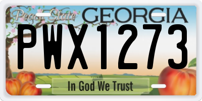 GA license plate PWX1273