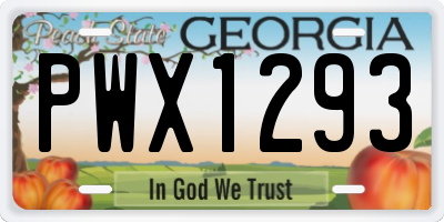GA license plate PWX1293