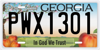 GA license plate PWX1301
