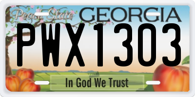 GA license plate PWX1303
