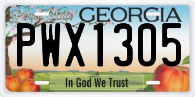 GA license plate PWX1305
