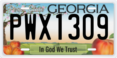 GA license plate PWX1309